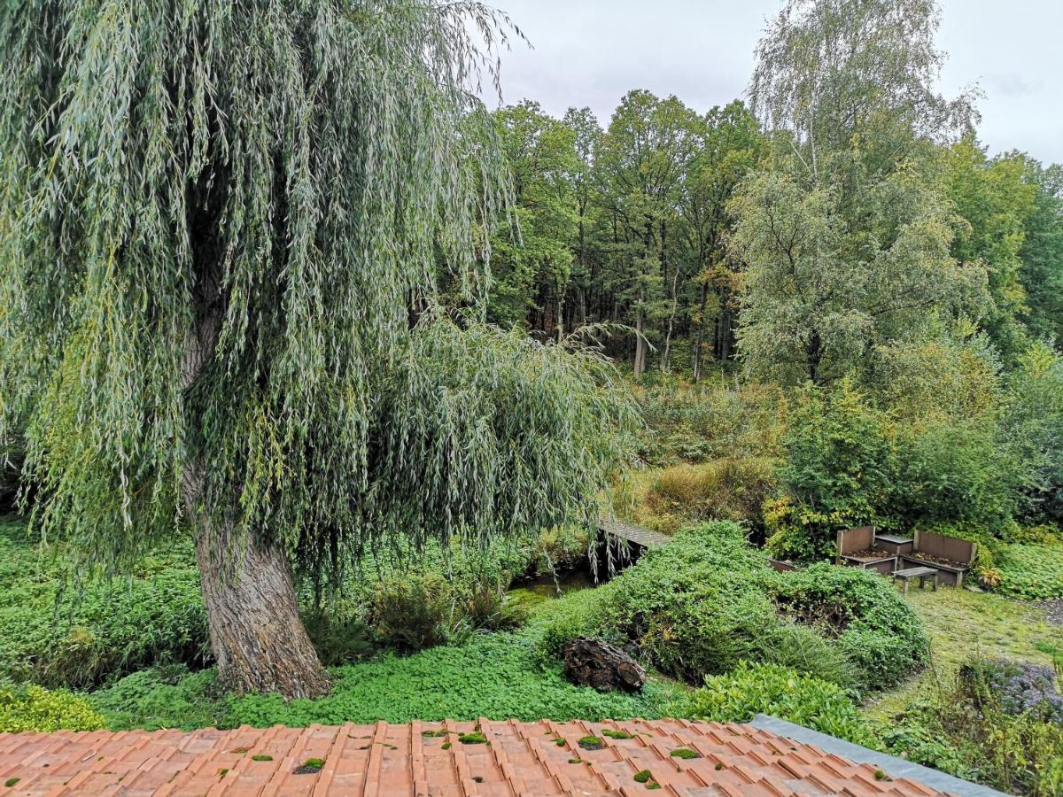 Vakantieverblijf Volmolen B&B Maaseik Exterior foto